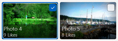 選択された画像は、青い枠線に囲まれ、重ねられたチェック ボックスが表示されており、未選択の画像は枠線がなく、チェック ボックスがオフになっています。